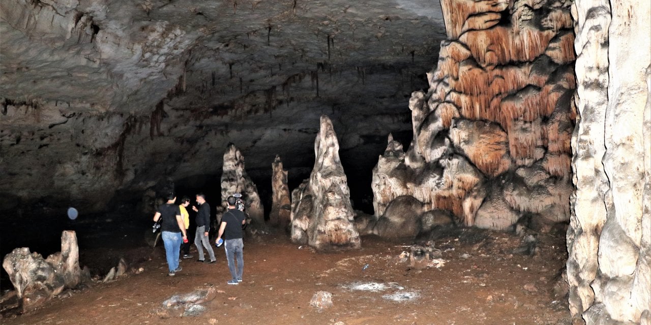 Yol çalışmasında bulunan mağarada yeni böcek türü keşfedildi