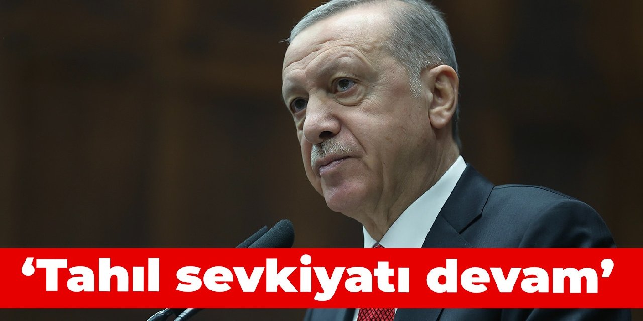 Erdoğan: Tahıl sevkiyatı devam