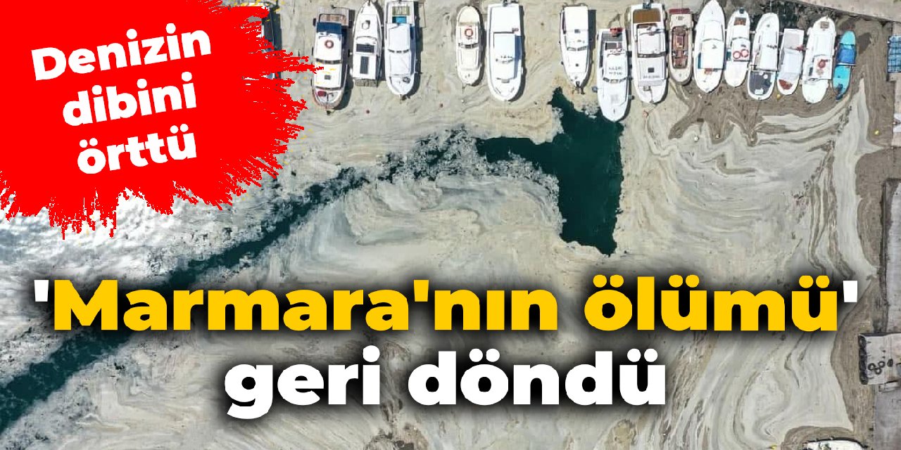 'Marmara'nın ölümü' geri döndü: Denizin dibini örttü