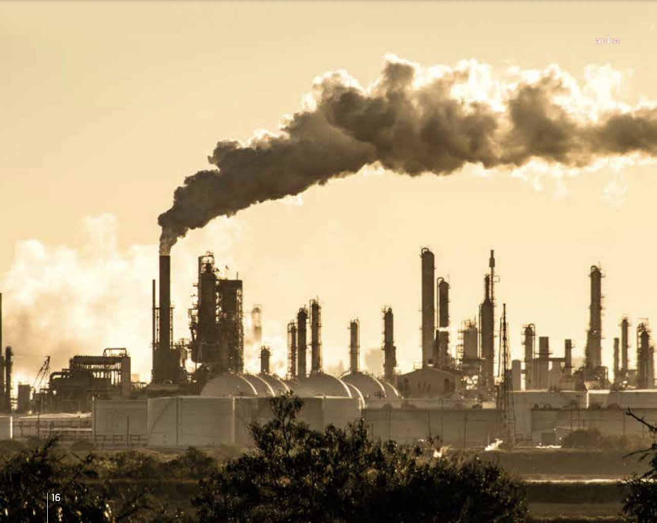 İklim Değişikliği Kanun Taslağı: Karbon Piyasası Kurulu üyelerine huzur hakkı