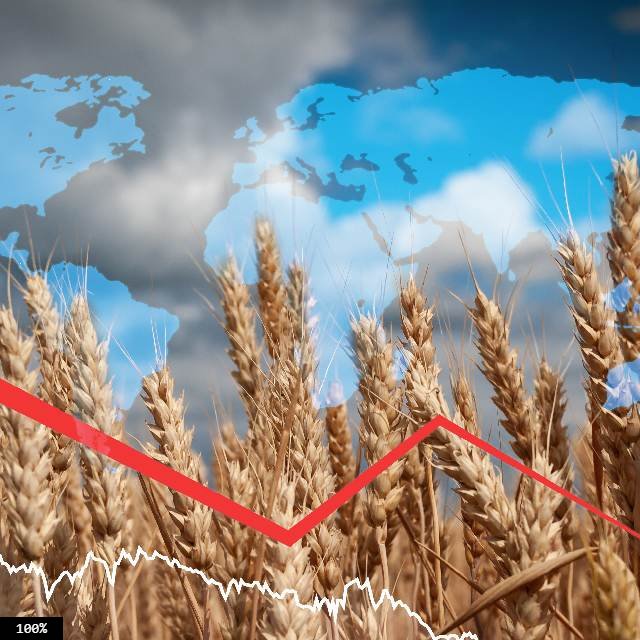 Küresel gıda fiyatları 7 aydır düşüyor