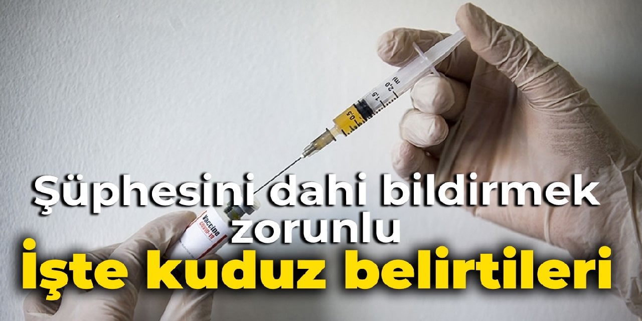 Şüphesini dahi bildirmek zorunlu: İşte kuduz belirtileri