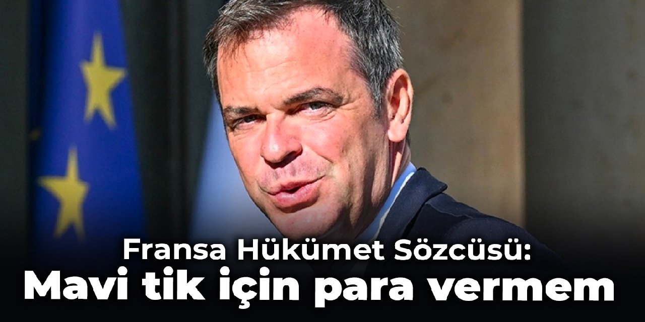 Fransa Hükümet Sözcüsü: Mavi tik için para vermem