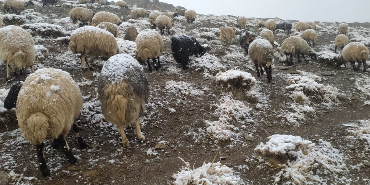 Yüksekova'ya kar düştü