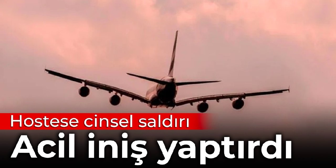 Hostese cinsel saldırı acil iniş yaptırdı