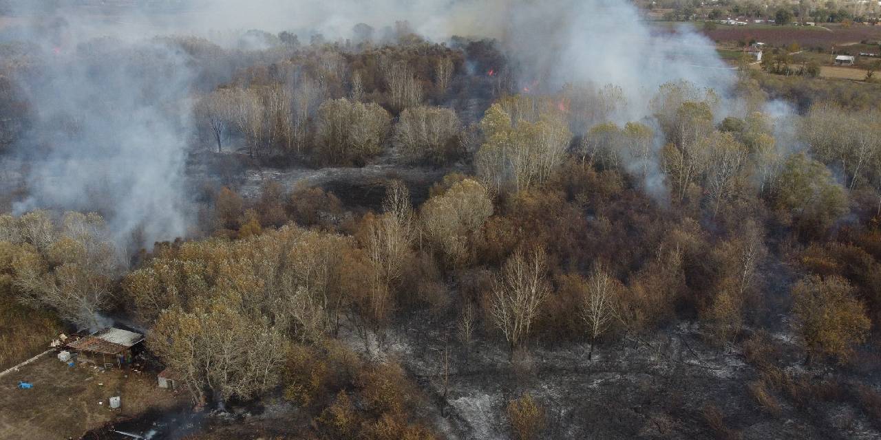 Bursa'da ağaçlık alanda yangın: Alevler kulübelere sıçradı