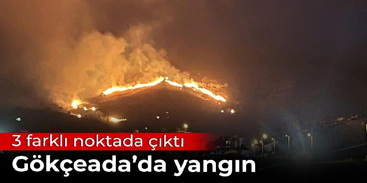 Gökçeada'da 3 farklı noktada yangın