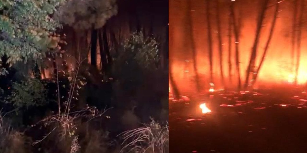 Kefken'de orman yangını