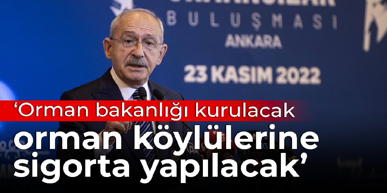 Kılıçdaroğlu: Orman bakanlığı kurulacak, orman köylülerine sigorta yapılacak