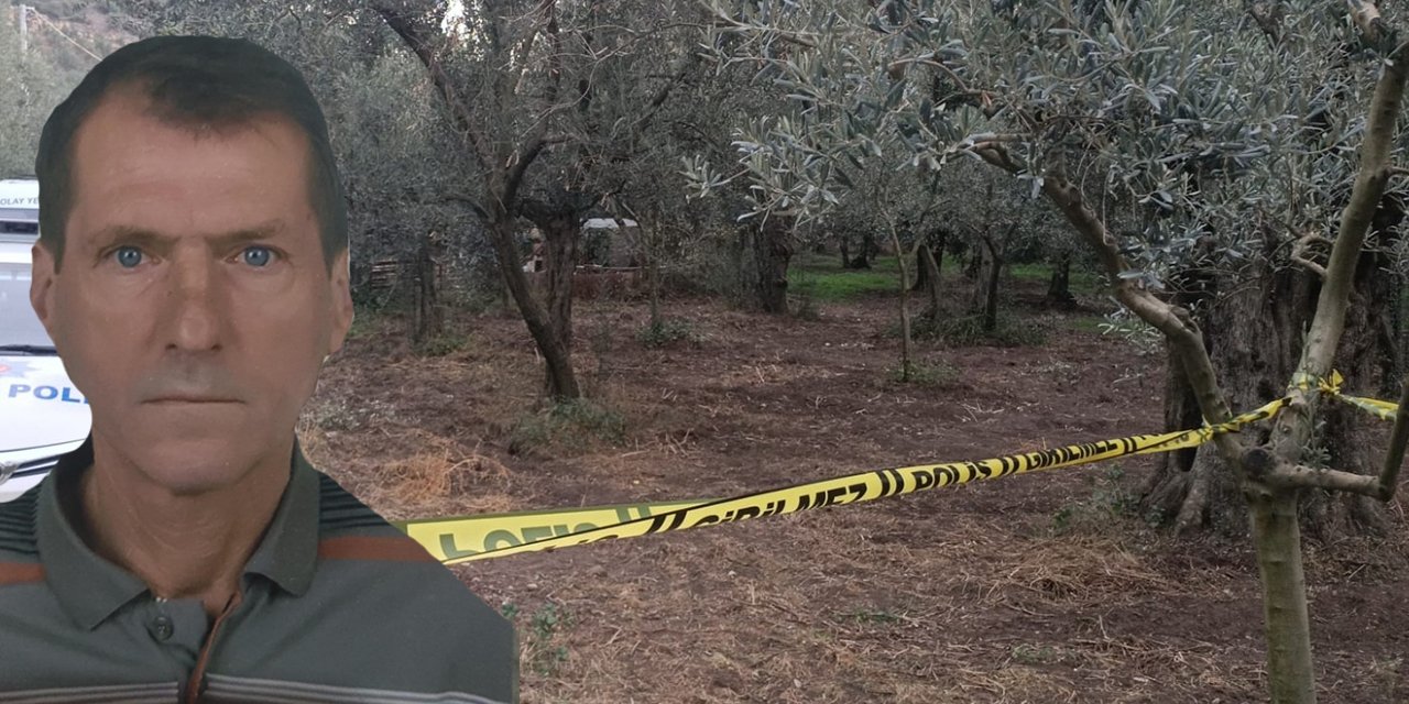 Zeytinlikte ceset bulundu