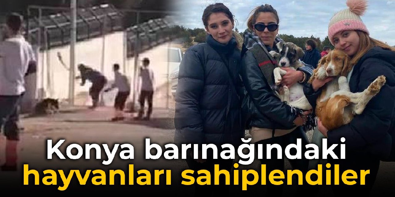 Konya barınağındaki hayvanları sahiplendiler