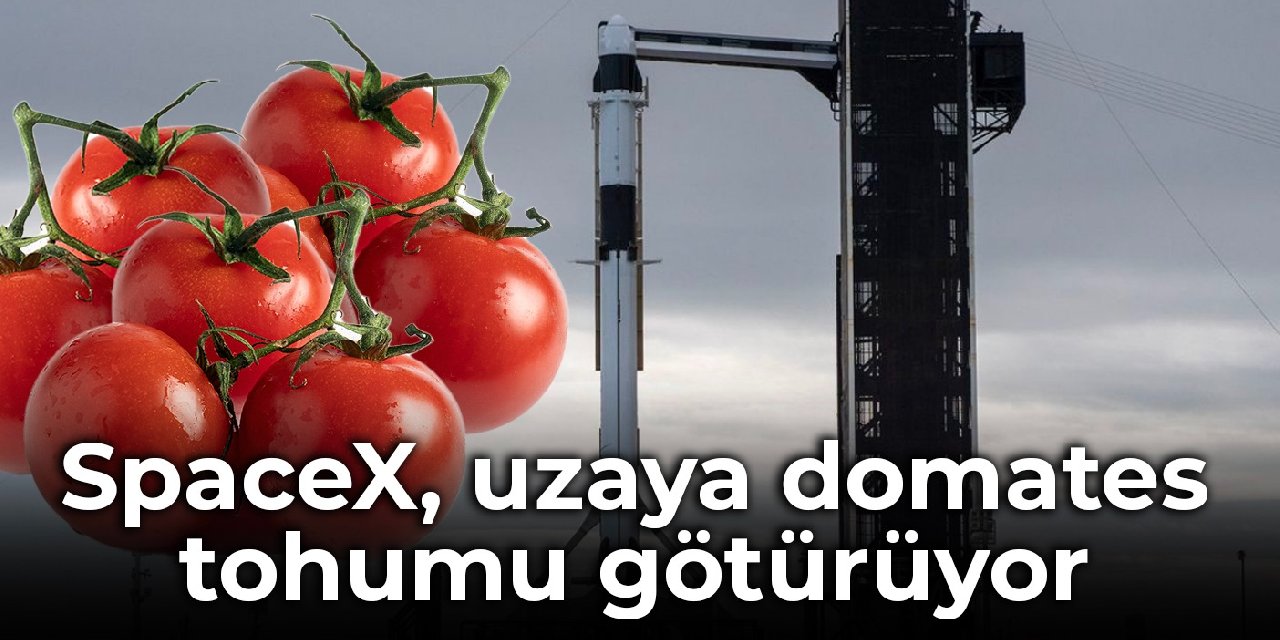 SpaceX, uzay istasyonuna domates tohumu götürüyor