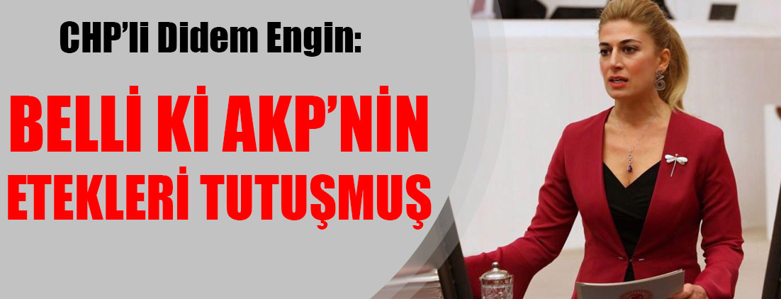 Didem Engin: Belli ki AKP’nin etekleri tutuşmuş