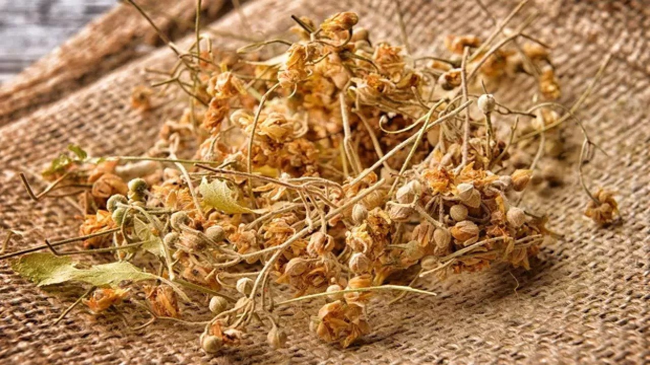 Ihlamurun fiyatı uçtu