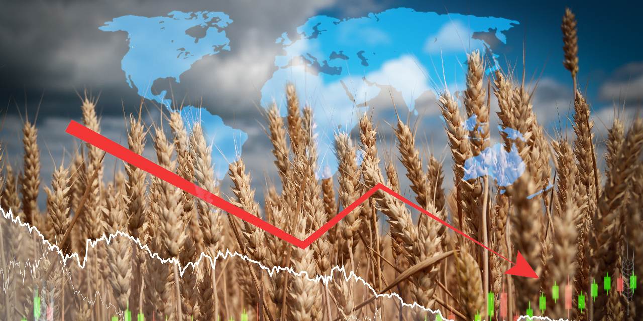 Küresel gıda fiyatlarındaki gerileme sürüyor