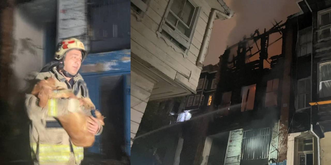 Metruk binada yangın: 2 sokak köpeği kurtarıldı