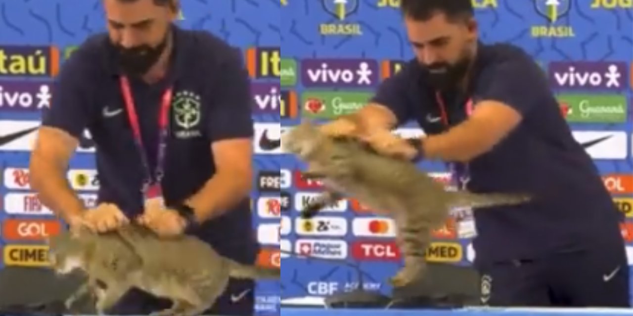 Kediyi böyle yere fırlatmıştı... Brezilya Futbol Federasyonu'na dava