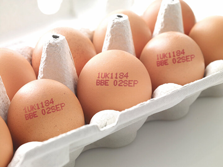 Yumurtanın üzerindeki o kodlar ne anlatıyor, alışveriş yaparken mutlaka bakın