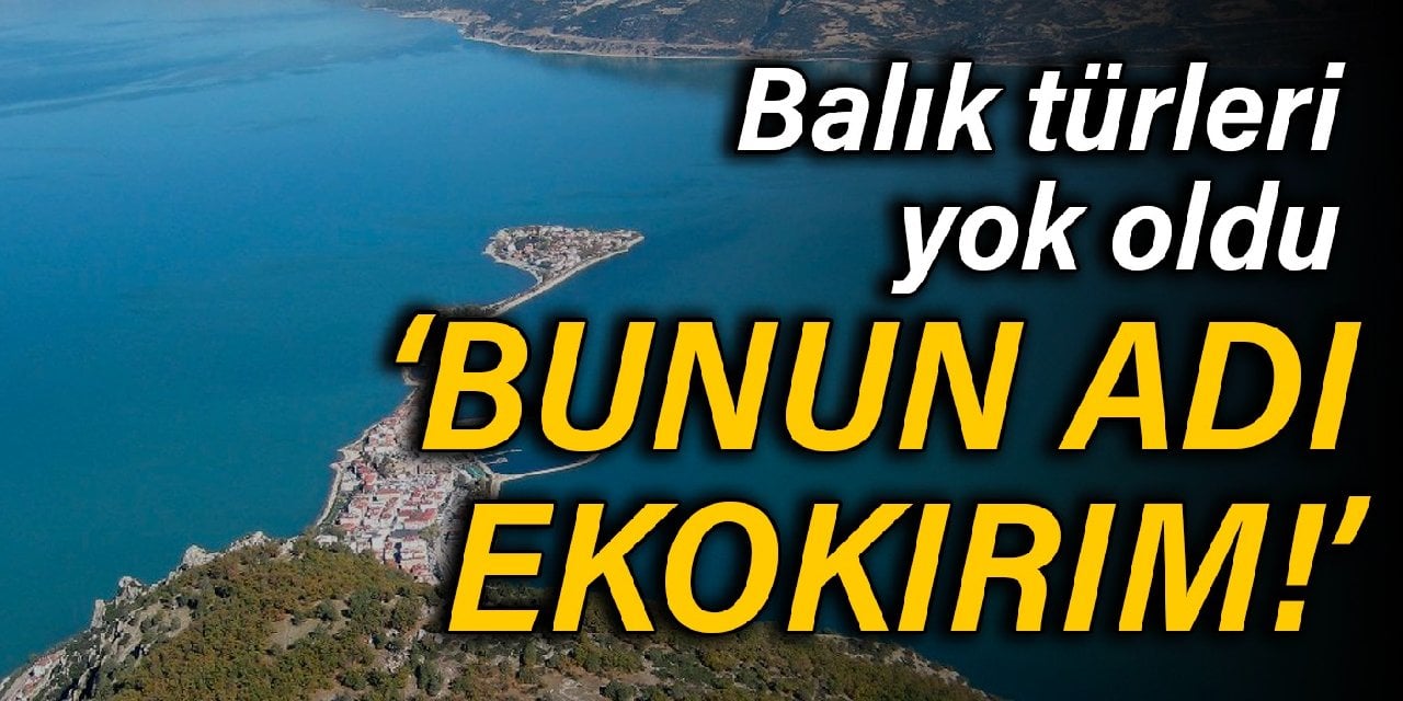 Eğirdir Gölü'nde 'ekokırım': 10 balık türünden 4'ü yok oldu, 6'sı tehdit altında