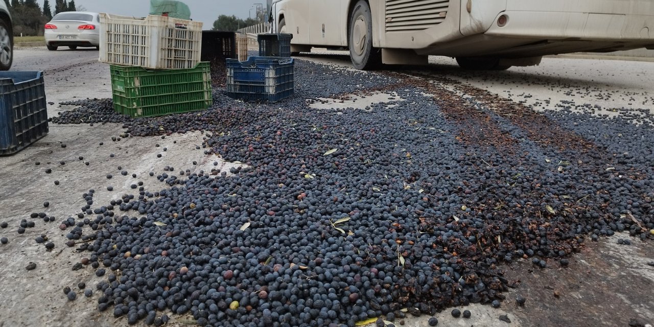 İşçi servisi ile kamyonet çarpıştı: 1,5 ton zeytin yola saçıldı