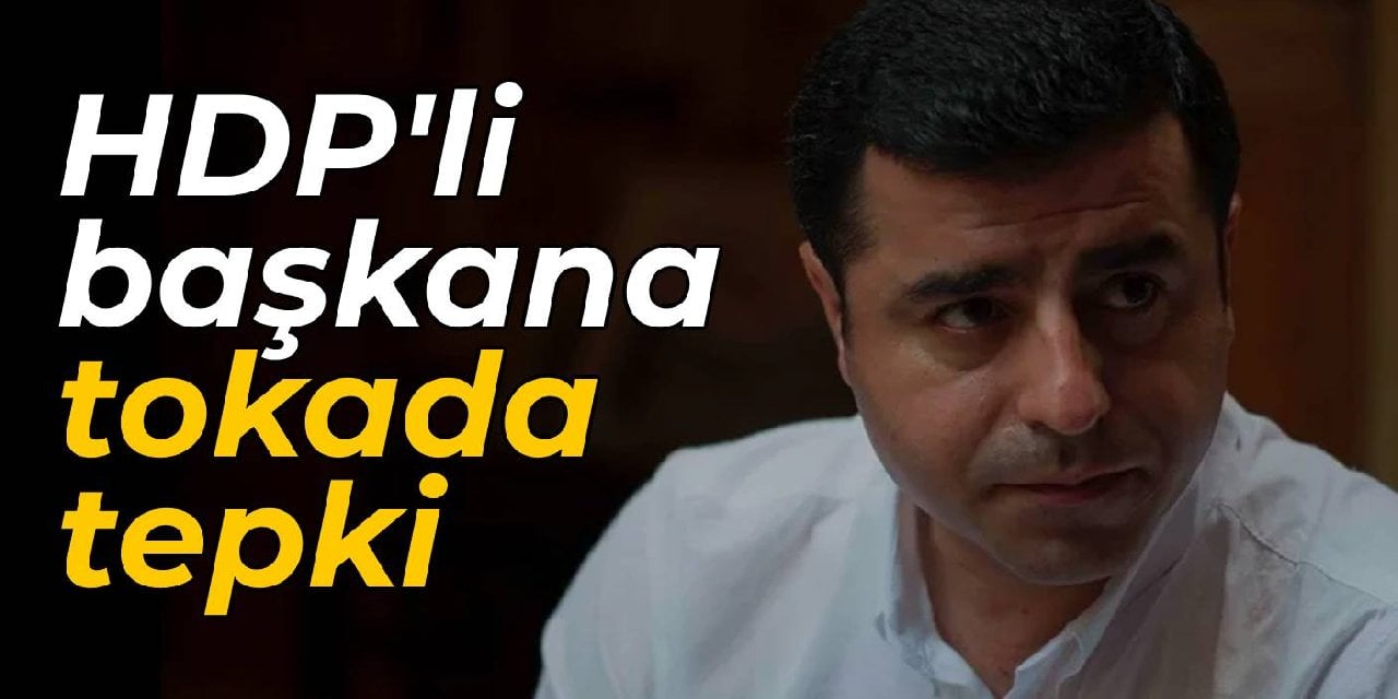 Demirtaş'tan HDP'li başkana tokada tepki