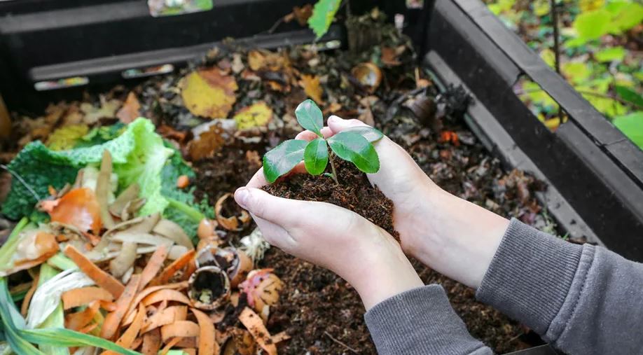 Gelecek nesillere kompostla verimli topraklar bırakabiliriz. Nasıl mı?
