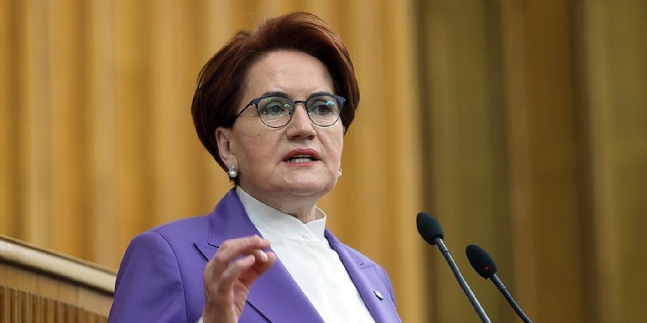 Akşener'den Erdoğan'a: Bu ahmaklar sürüsünü nasıl topladın?