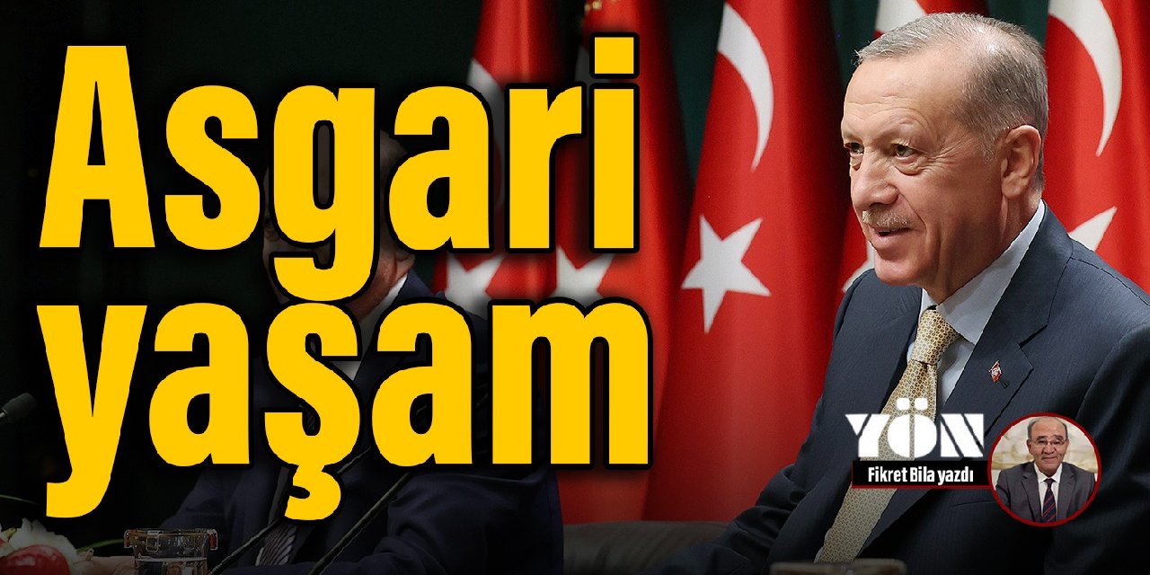 Asgari yaşam