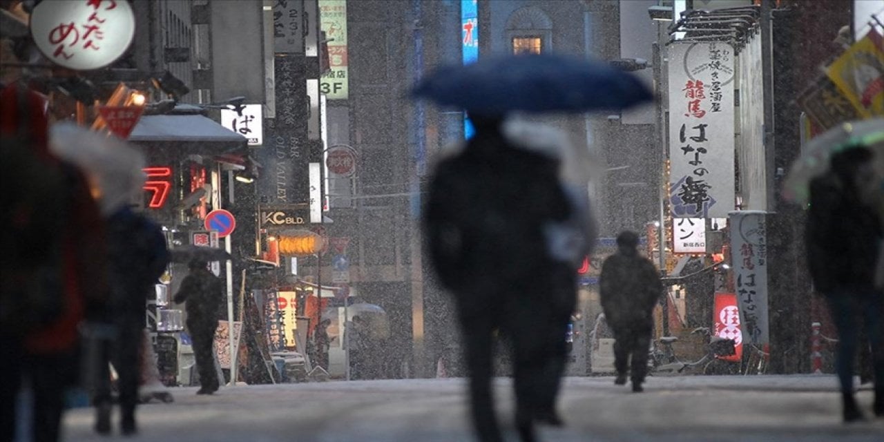 Japonya'da kar yağışı: 14 ölü