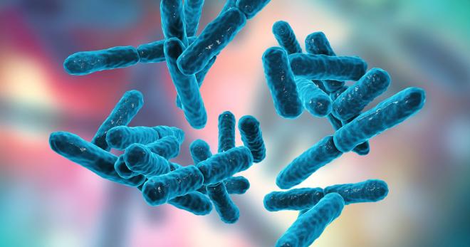 Probiyotik ve Prebiyotik Gıdalar