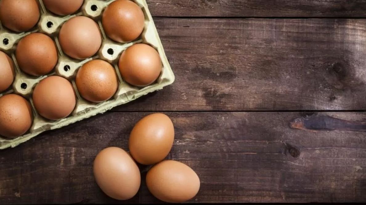 Organik Yumurta ile Gezen Tavuk Yumurtası Arasındaki Fark Nedir? Organik Yumurta Nasıl Anlaşılır?