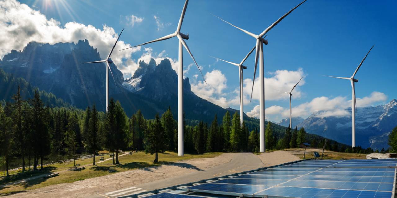 ‘Türkiye yenilenebilir enerjide öncü rol üstlenebilir’
