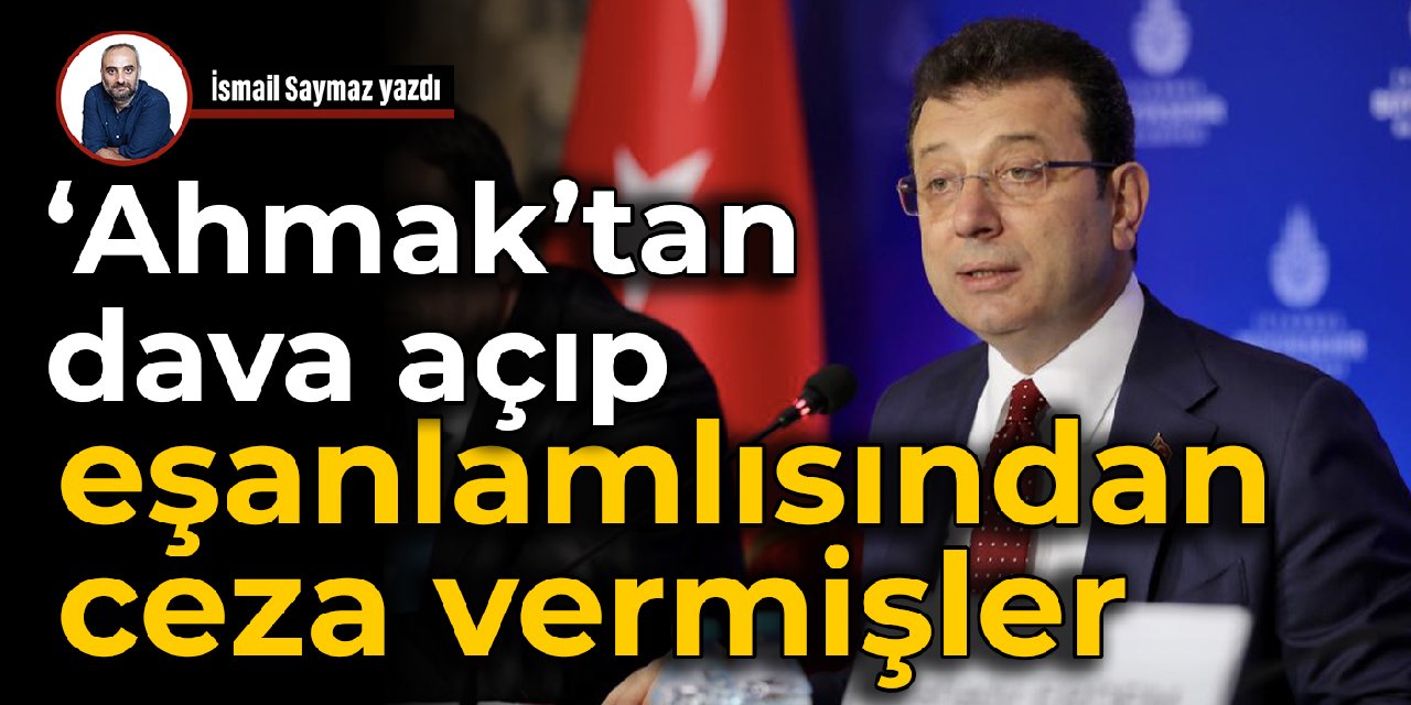 ‘Ahmak’tan dava açıp eşanlamlısından ceza vermişler