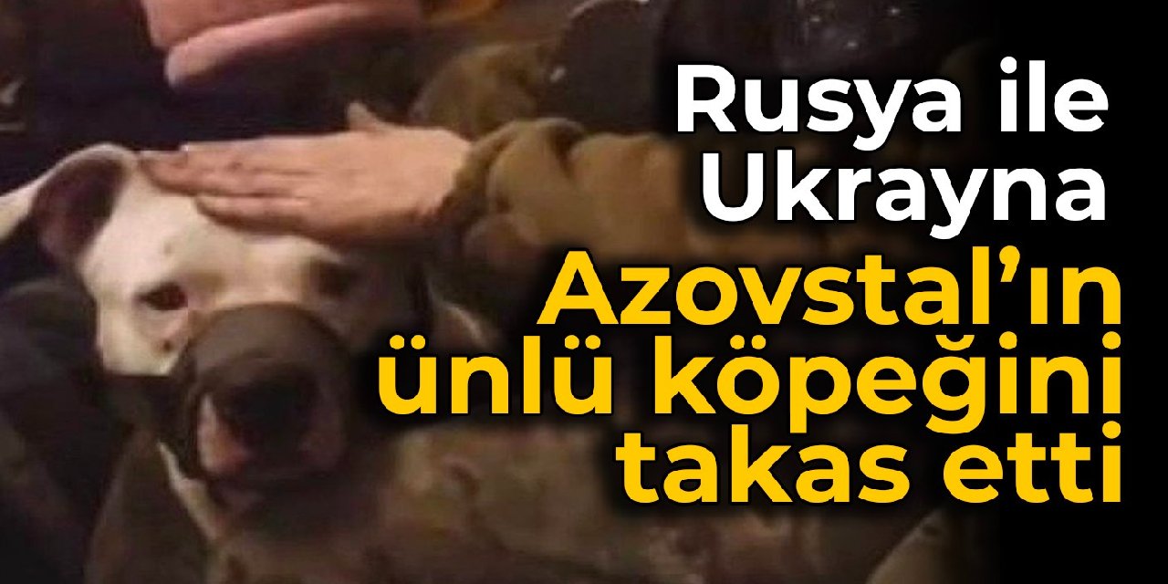 Rusya ile Ukrayna Azovstal'ın ünlü köpeğini takas etti