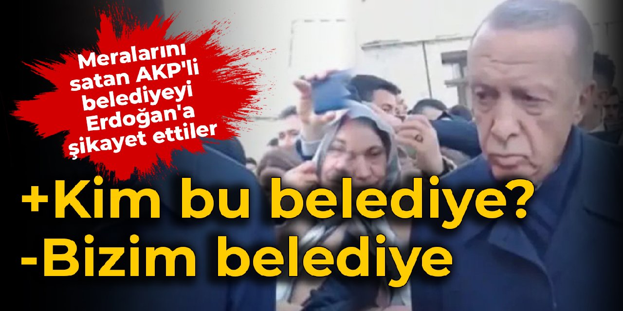 Meralarını satan AKP'li belediyeyi Erdoğan'a şikayet ettiler: 'Kim bu belediye? Bizim belediye'