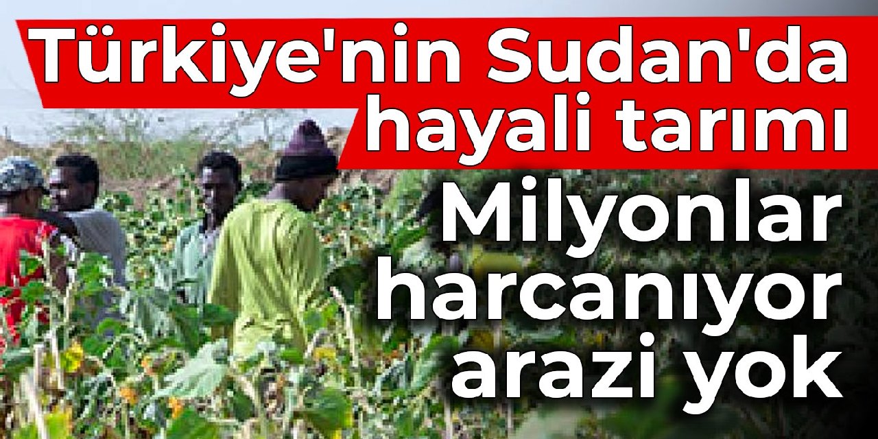 Türkiye'nin Sudan'da hayali tarımı: Milyonlar harcanıyor, arazi yok