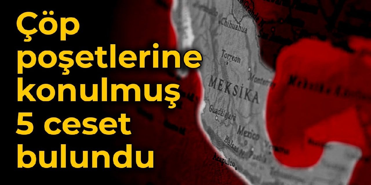 Çöp poşetlerine konulmuş 5 ceset bulundu