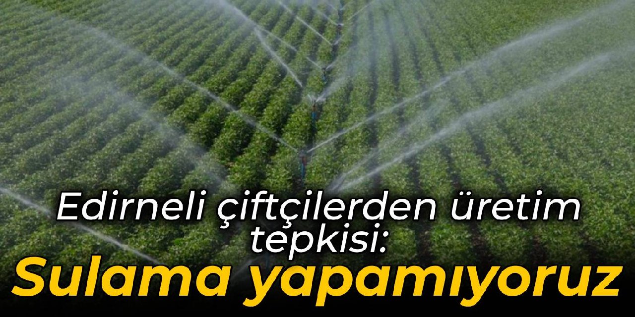 Edirneli çiftçilerden üretim tepkisi: Sulama yapamıyoruz