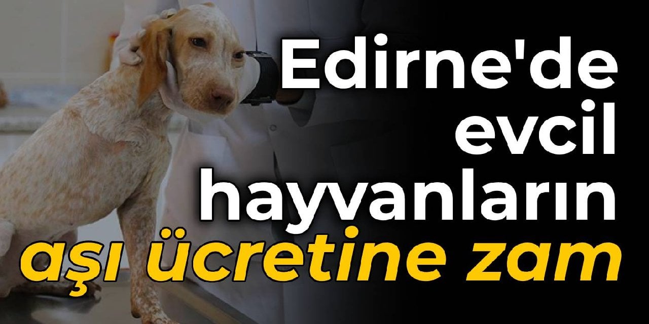 Edirne'de evcil hayvanların aşı ücretlerine zam