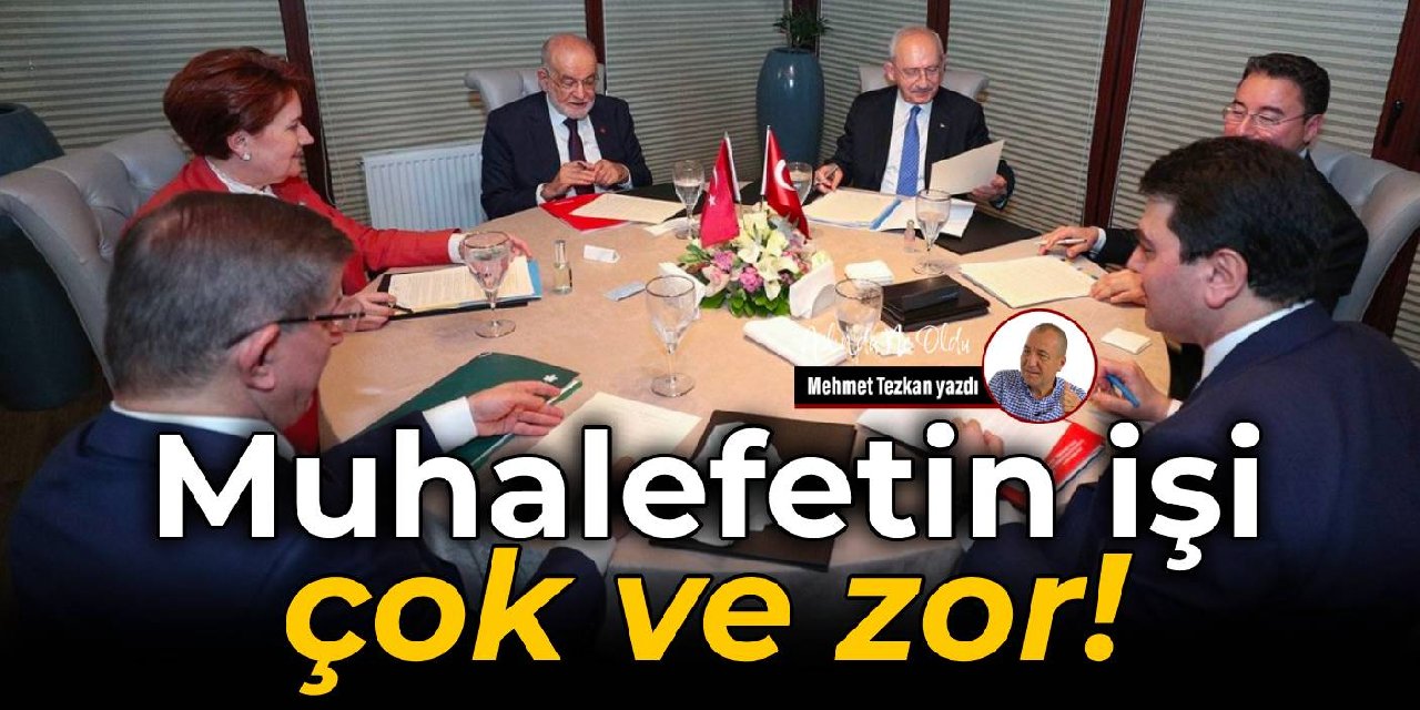 Muhalefetin işi  çok ve zor!
