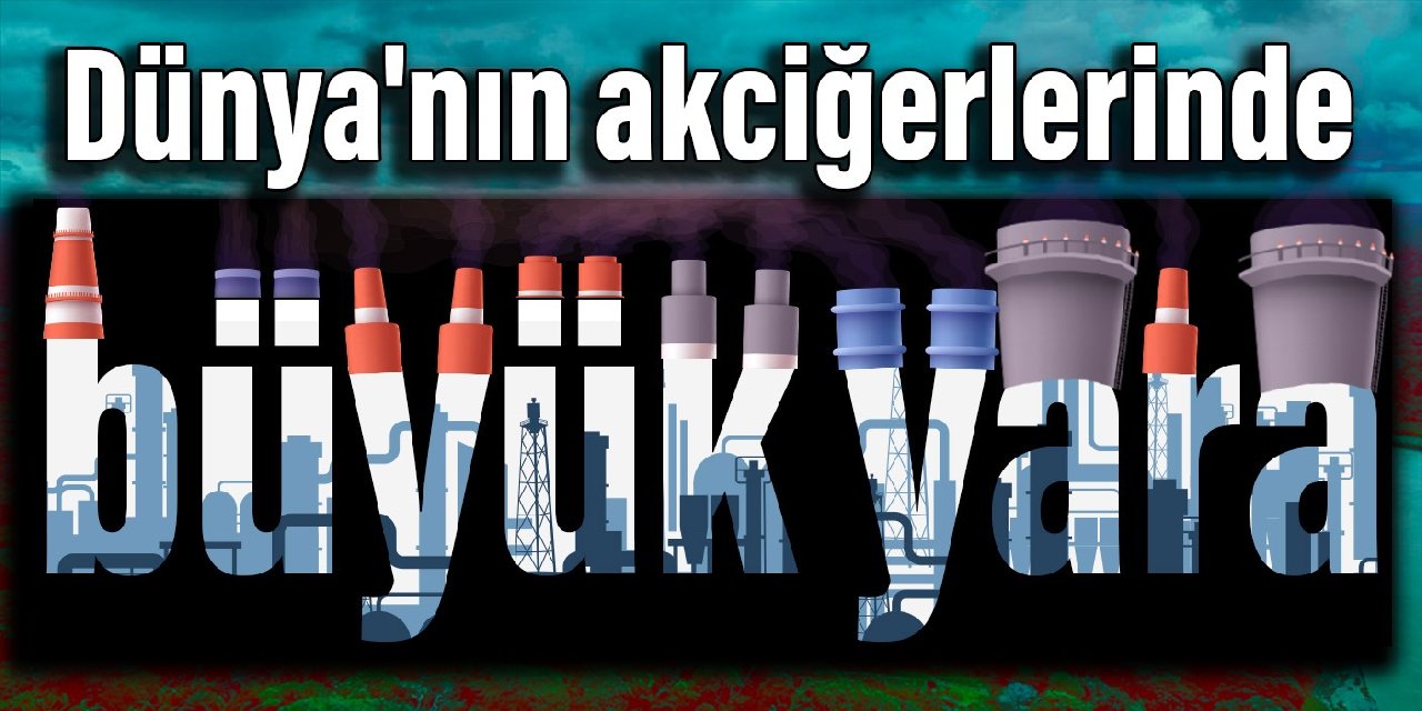 Dünya'nın akciğerlerinde büyük yara