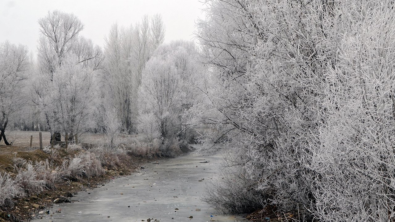 Muş'ta kartpostallık görüntüler