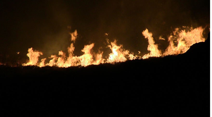 Bodrum’da sit alanında yangın çıktı