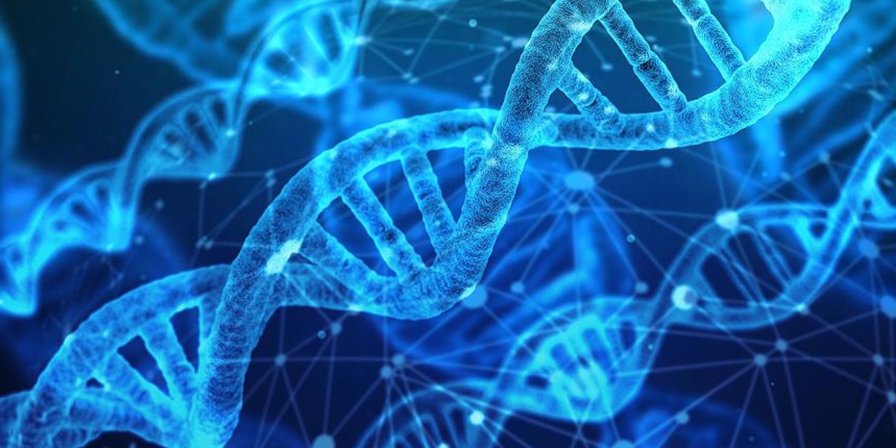 Bilim insanları kanser hastalığını 'genetik' ile tedavi edecek