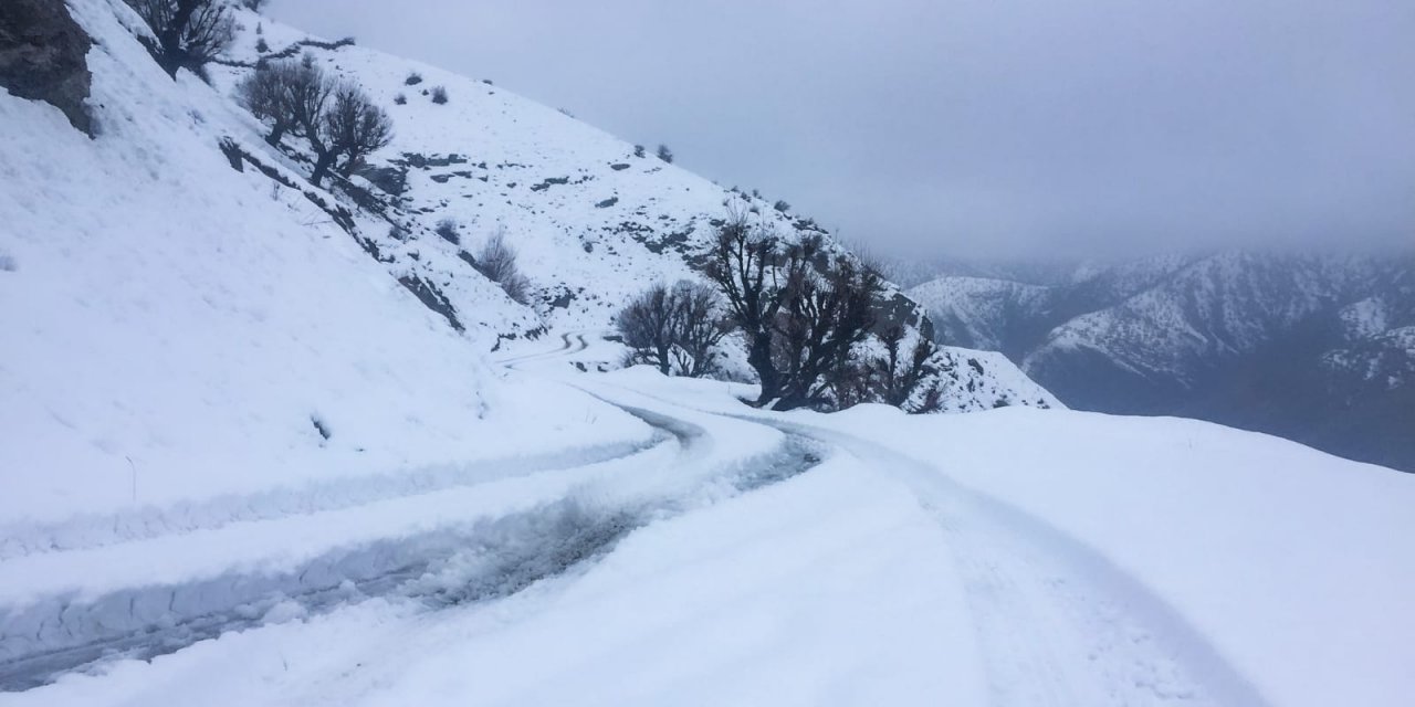 Kar 51 yerleşim yerinin yolunu kapattı