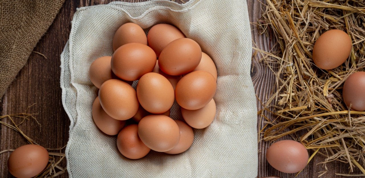 Yumurtayı buzdolabında saklamayın! Hangi besin nasıl korunur?