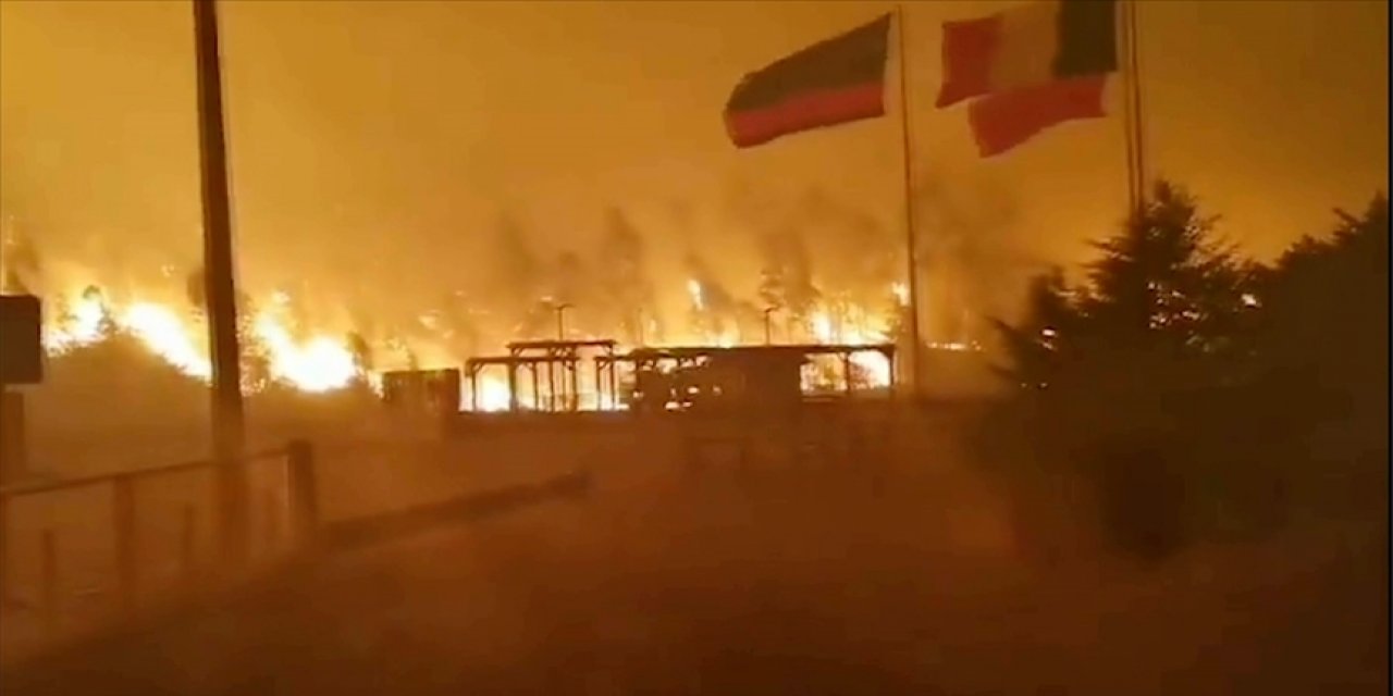 Şili'de orman yangınlarında 22 kişi öldü
