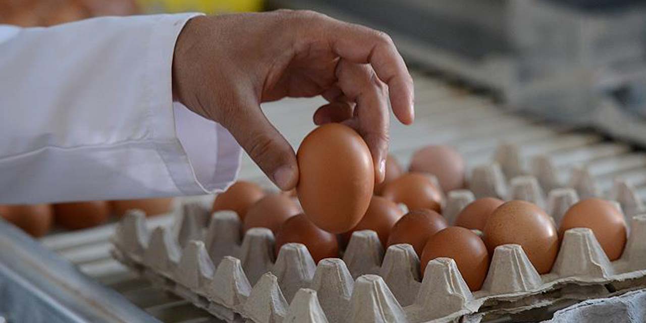 Dikkat! Yumurta alerjisi hayatınızı kabusa çevirebilir...