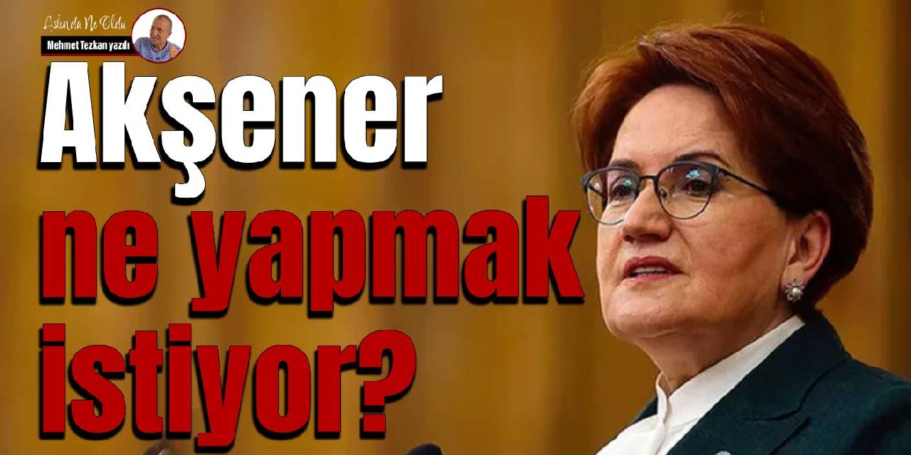 Akşener ne yapmak istiyor?