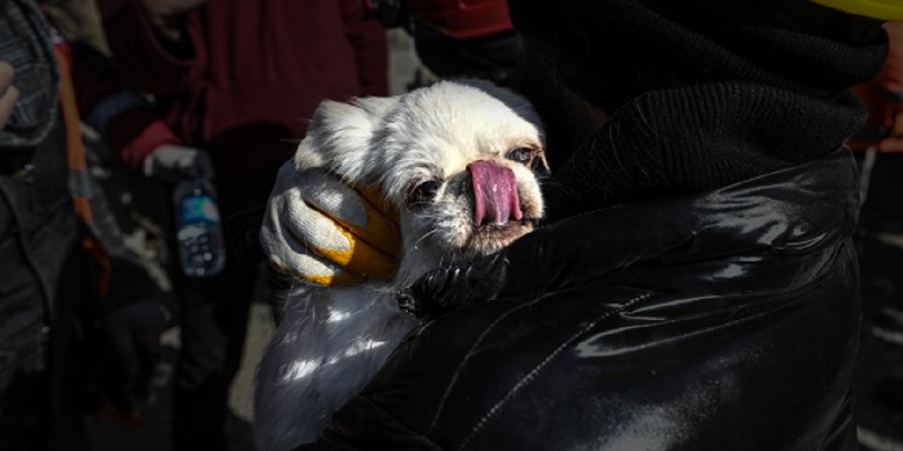 103 saat sonra: ‘Sesimi duyan var mı’ çağrısına havlayarak yanıt veren Venüs ve sahibi kurtarıldı